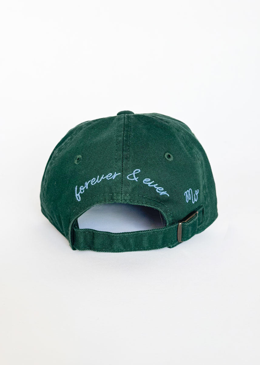 Toddler Chicago Arch Dad Hat - Green & Blue
