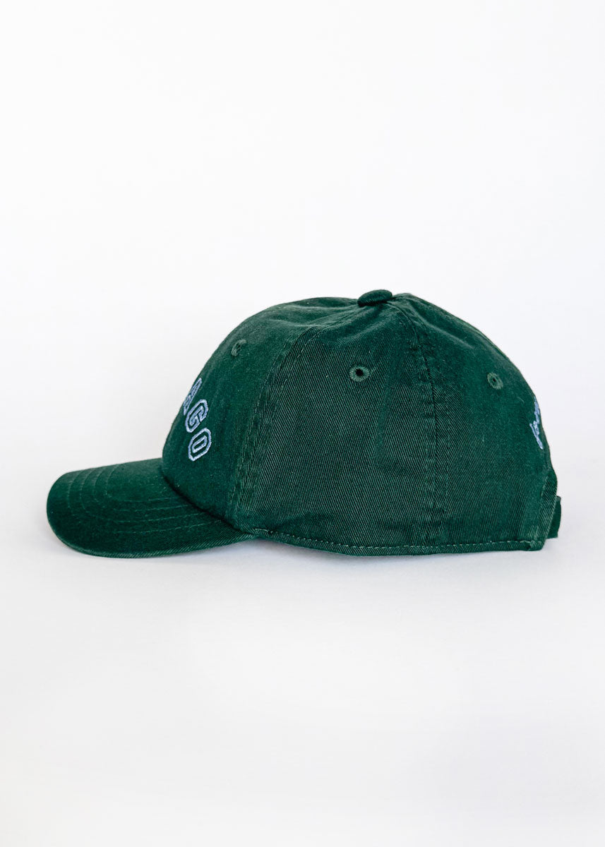 Toddler Chicago Arch Dad Hat - Green & Blue