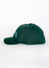 Toddler Chicago Arch Dad Hat - Green & Blue