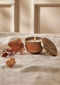 Pumpkin Laurel Poured Candle - 6.5oz