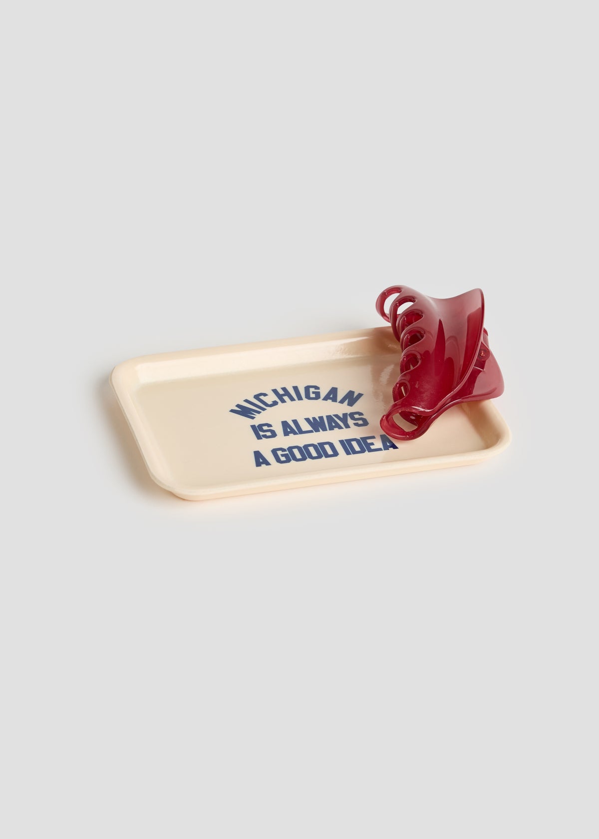 Michigan Is Always A Good Idea Trinket Tray