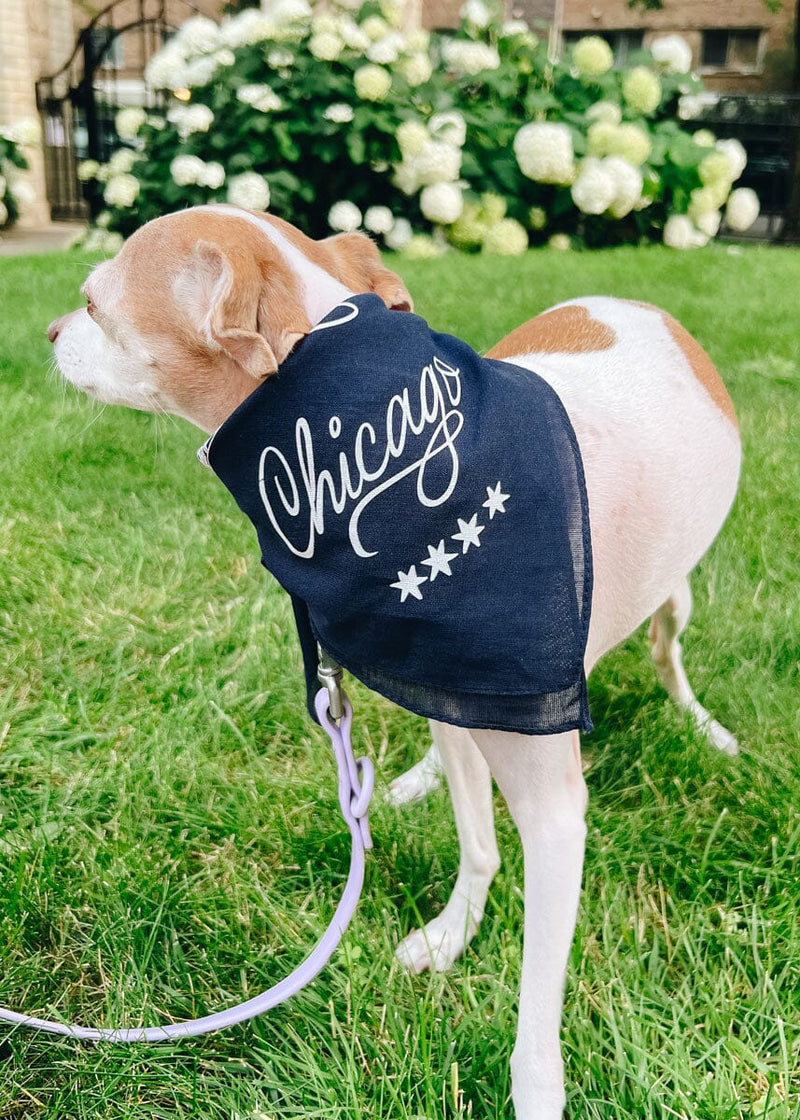 Chicago Doggie Bandana