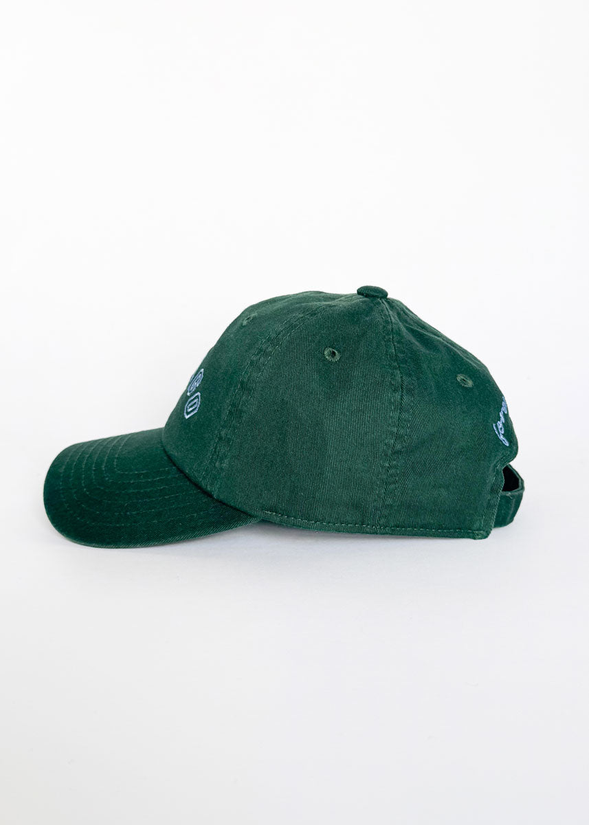 Youth Chicago Arch Dad Hat - Green & Blue