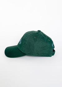 Youth Chicago Arch Dad Hat - Green & Blue