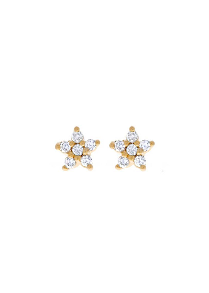 Teeny Tiny Star Studs